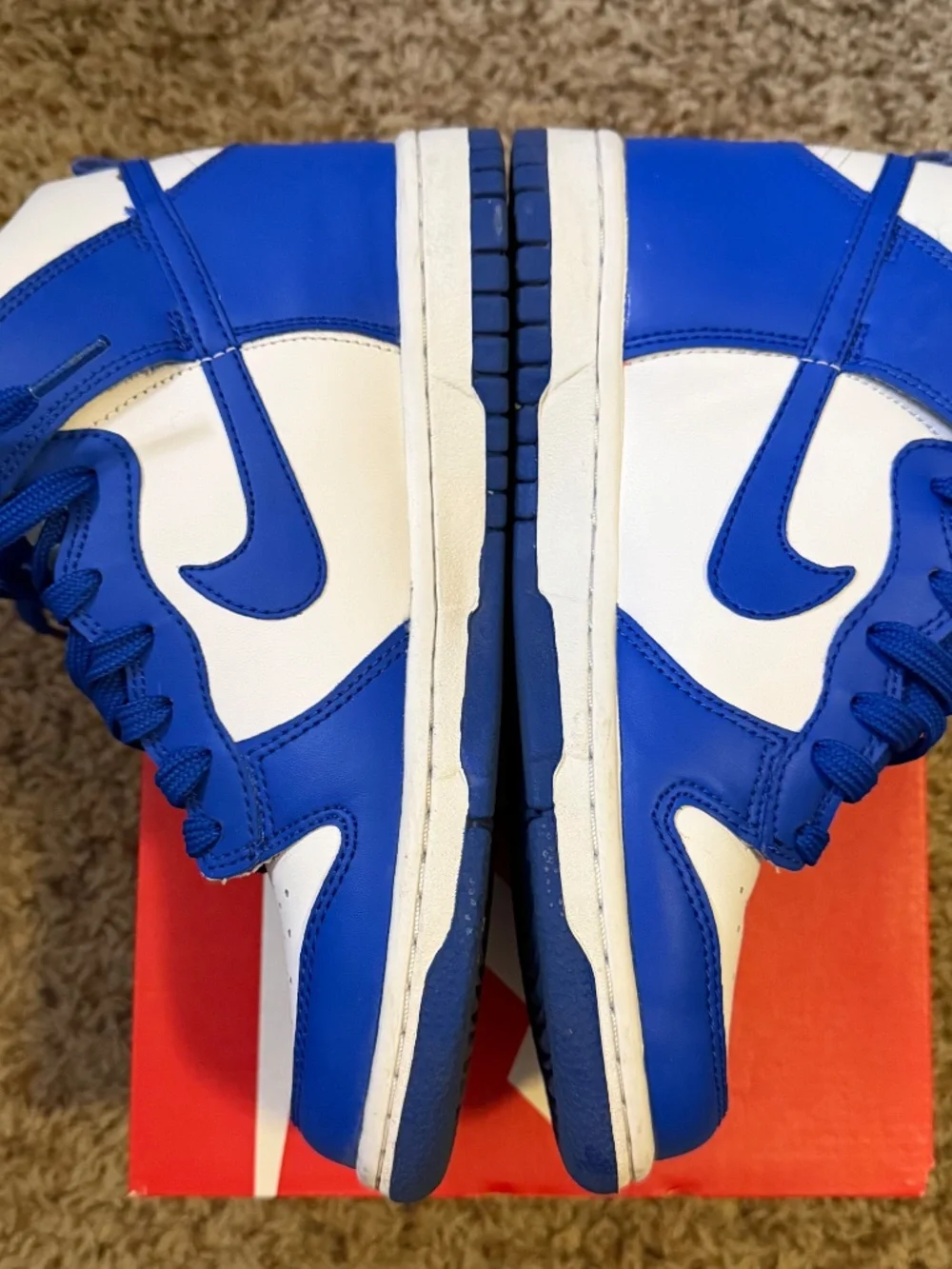 Big kids Nike dunk high
